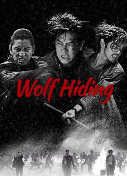 Wolf Hiding - VJ Emmy